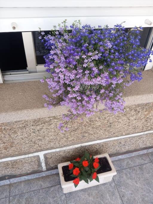 Precioso Apartamento En San Vicente De O Grove Сан-Висенте-де-О-Грове Экстерьер фото